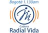 10237_cadena-radial-vida.png