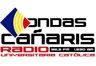 10946_ondas-canar.png