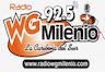 15642_wg-milenio.png