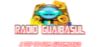 20726_guaibasul.png