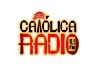 29362_catolica.png
