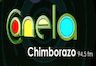 37953_canela-chimborazo.png