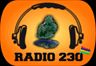 58501_radio230.png