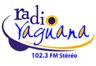 61551_yaguana-fm.png