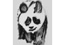 64153_blue-panda.png