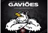 66583_livre-gavioes.png