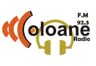 69812_coloane-fm.png