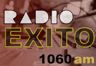 86019_exito-lima.png