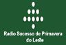 90856_sucesso-de-primavera-do-leste.png