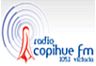 91748_copihue-fm.png